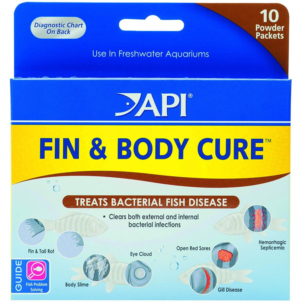 API - FIN & BODY CURE